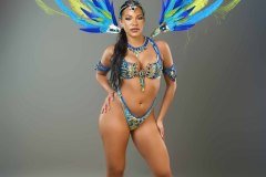 Standard-tiara, std necklace, std arm pcs, std leg pcs, padded bra, std gem bikini bottom and small backpack.