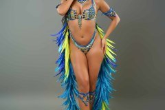 Standard-tiara, std necklace, std arm pcs, std leg pcs, padded bra, std gem bikini bottom and bustle