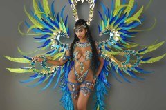 Section Leader -wire-bra w fl-gem bikini bottom,  tiara, fl necklace w shoulder pc, fl upper and lower leg pcs, and  ultra backpack.