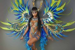 Section Leader -wire-bra w fl-gem bikini bottom,  tiara, fl necklace w shoulder pc, fl upper and lower leg pcs, and  ultra backpack.