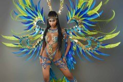 Section Leader -wire-bra w fl-gem bikini bottom,  tiara, fl necklace w shoulder pc, fl upper and lower leg pcs, and  ultra backpack.