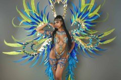 Section Leader -wire-bra w fl-gem bikini bottom,  tiara, fl necklace w shoulder pc, fl upper and lower leg pcs, and  ultra backpack.