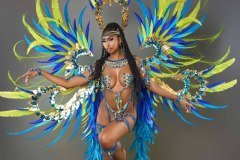 Section Leader -wire-bra w fl-gem bikini bottom,  tiara, fl necklace w shoulder pc, fl upper and lower leg pcs, and  ultra backpack.