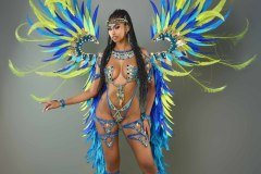 Frontline -wire-bra w fl-gem bikini bottom,  tiara, fl necklace w shoulder pc, fl upper and  lower leg pcs and large backpack.