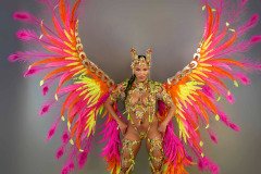  Frontline - wire-bra w fl-gem bikini bottom,  fl tiara, fl necklace w shoulder pcs, fl leg pcs and  xlarge backpack.