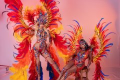DSC01935