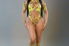 Standard - padded bra w standard gem bikini bottom,  tiara, srd necklace w shoulder pcs and std leg pcs .