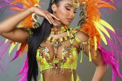 Standard - padded bra w standard gem bikini bottom,  tiara, std necklace w shoulder pcs , std leg pcs and small backpack. 