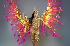  Frontline - wire-bra w fl-gem bikini bottom,  fl tiara, fl necklace w shoulder pcs, fl leg pcs and large backpack.