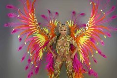 Section Leader - wire-bra w fl-gem bikini bottom,  fl tiara, fl necklace w shoulder pcs, fl upper and lower leg pcs and ultra backpack.