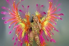 Section Leader - wire-bra w fl-gem bikini bottom,  fl tiara, fl necklace w shoulder pcs, fl upper and lower leg pcs and ultra backpack.