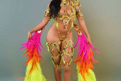  Frontline - wire-bra w fl-gem bikini bottom,  fl tiara, fl necklace w shoulder , fl leg pcs and bustle .