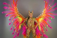  Frontline - wire-bra w fl-gem bikini bottom,  fl tiara, fl necklace w shoulder pcs, fl leg pcs and xlarge backpack.