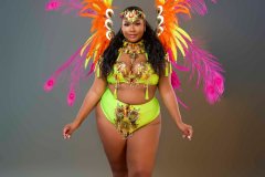 Standard - padded bra w gem high waist bottom,  tiara, std necklace w shoulder pcs , std leg pcs and small backpack.