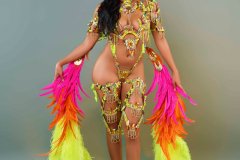  Frontline - wire-bra w fl-gem bikini bottom,  fl tiara, fl necklace w shoulder , fl leg pcs and bustle .