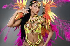 Standard - padded bra w standard gem bikini bottom,  tiara, std necklace w shoulder pcs , std leg pcs and medium backpack. 