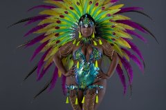 1_Frontline-w-fl-tiara-fl-necklace-fl-arm-pcs-fl-leg-pcs-monokini-large-backpack-.P1929-min