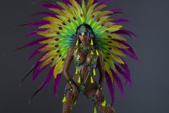 Frontline-w-fl-tiara-fl-necklace-fl-arm-pcs-fl-leg-pcs-wire-bra-fl-gem-bikini-large-backpack-.-P1737-min