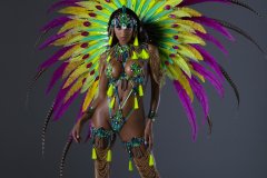 Frontline-w-fl-tiara-fl-necklace-fl-arm-pcs-fl-leg-pcs-wire-bra-fl-gem-bikini-large-backpack-.-P1741-min