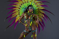 Frontline-w-fl-tiara-fl-necklace-fl-arm-pcs-fl-leg-pcs-wire-bra-fl-gem-bikini-large-backpack-.P1729-min