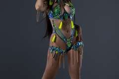 Standard-tiara-std-necklace-std-arm-pcs-std-leg-pcs-standard-bra-standard-gem-bikini-.P1687-min