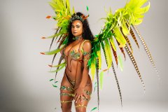 Frontline -feathered tiara, wire bra, fl gem bikini bottom, choker, fl arm pcs, fl upper & lower leg pcs w large backpack