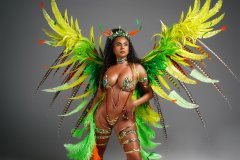 Frontline -feathered tiara, wire bra, fl gem bikini bottom, choker, fl arm pcs, fl upper & lower leg pcs w large backpack & bustle