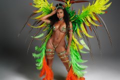 Section Leader -feathered tiara, wire bra, fl gem bikini bottom, choker, fl arm pcs, fl upper & lower leg pcs w xl backpack