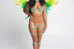 Standard- tiara, std bra, std gem bikini bottom, choker, std arm pcs, std upper & lower leg pcs w small backpack