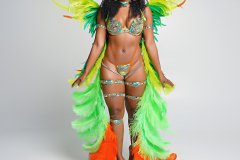 Standard- tiara, std bra, std gem bikini bottom, choker, std arm pcs, std upper & lower leg pcs w medium backpack