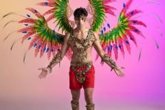 Male - head pc , chest pc, belt, shorts, arm pcs , leg pcs and large backpack.