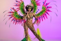 Frontline- skimpy monokini , fl tiara, fl necklace , fl arm  pcs, fl upper and lower leg pcs and xl backpack.