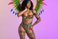 Standard-tiara, std necklace, std arm pcs, std leg pcs, padded bra, gem high waist bottom and medium backpack.