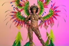 Section Leader- wire-bra w fl-gem bikini bottom, large tiara, fl necklace , fl arm  pcs, fl upper and lower leg pcs and ultra backpack.