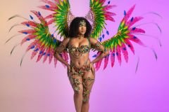 Standard-tiara, std necklace, std arm pcs, std leg pcs, padded bra, standard gem bikini bottom and large backpack.