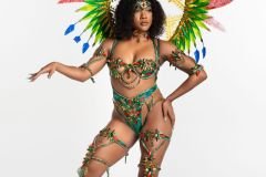 Standard-tiara, std necklace, std arm pcs, std leg pcs, padded bra, gem high waist bottom.