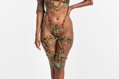 Standard-tiara, std necklace, std arm pcs, std leg pcs, wire bra and fl gem bikini bottom.