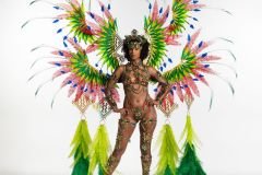 Section Leader- wire-bra w fl-gem bikini bottom, fl tiara, fl necklace , fl arm  pcs, fl upper and lower leg pcs and ultra backpack.