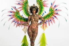 Frontline- wire-bra , fl-gem bikini bottom, fl tiara, fl necklace , fl arm  pcs, fl upper and lower leg pcs and xl backpack.