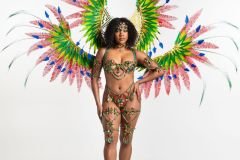 Standard-tiara, std necklace, std arm pcs, std leg pcs, padded bra, standard gem bikini bottom and large backpack.