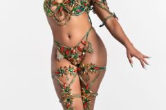 Standard-tiara, std necklace, std arm pcs, std leg pcs, padded bra, gem bikini bottom.