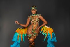 Frontline-Wire bra w fl gem bikini bottom, tiara , fl necklace w shoulder pc, fl upper & lower leg pcs & feathered bustle.