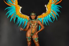 Frontline-Wire bra w fl gem bikini bottom, tiara , fl necklace w shoulder pc, fl upper &  lower leg pcs & large backpack.