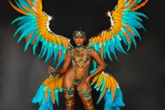 Frontline-Wire bra w fl gem bikini bottom, tiara , fl necklace w shoulder pc, fl upper &  lower leg pcs & large backpack w bustle.