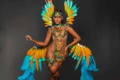 Frontline-Wire bra w fl gem bikini bottom, tiara , fl necklace w shoulder pc, fl upper & lower leg pcs & medium backpack w bustle.