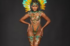 Frontline-Wire bra w fl gem bikini bottom, tiara , fl necklace w shoulder pc, fl upper & lower leg pcs &  medium backpack.