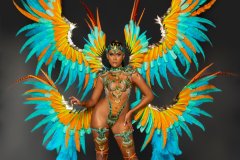 Individual - Wire bra w fl gem bikini bottom, tiara, fl necklace  w shoulder pc, fl upper & lower leg pcs & xl backpack.