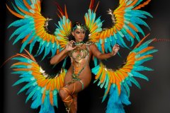 Individual - Wire bra w fl gem bikini bottom, tiara, fl necklace  w shoulder pc, fl upper & lower leg pcs & xl backpack.