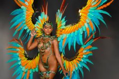 Individual - Wire bra w fl gem bikini bottom, tiara, fl necklace  w shoulder pc, fl upper & lower leg pcs & xl backpack.