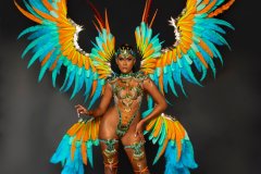 Section Leader-Wire bra w fl gem bikini bottom, tiara, fl necklace  w shoulder pc, fl upper & lower leg pcs & xl backpack.